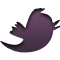 Twitter Twitter